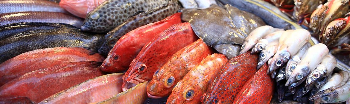 Ледяная глазурь не является первичной упаковкой мороженой рыбы