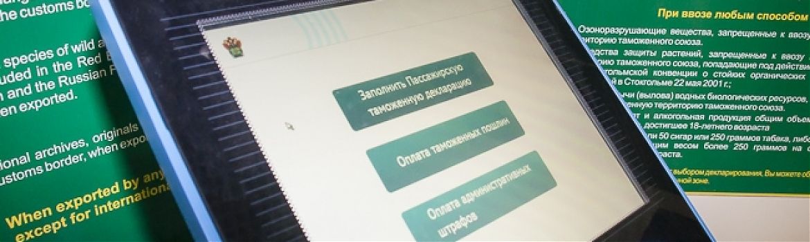 Электронный терминал в Домодедово поможет туристам быстро растаможить товар